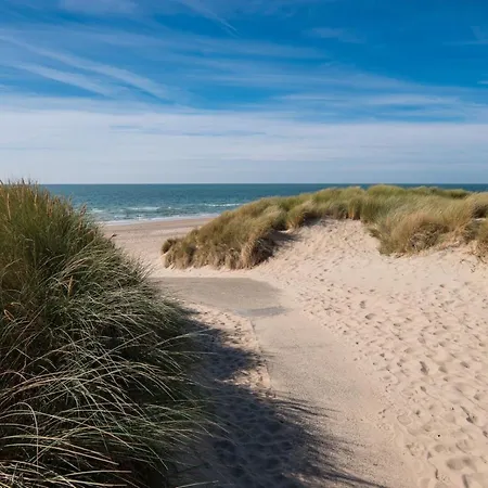 Sunny - Only 5-min Walk To Sea & Dunes Daire Wijk aan Zee