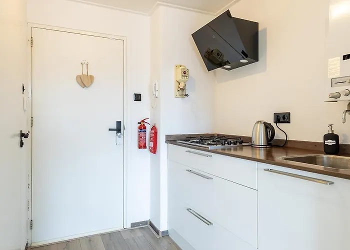 Sunny - Only 5-min Walk To Sea & Dunes Appartement Wijk Aan Zee