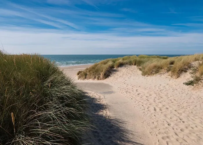 Sunny - Only 5-min Walk To Sea & Dunes Appartement Wijk Aan Zee